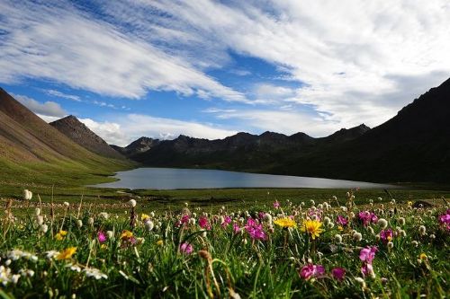 达日草原-果洛达日县达日草原旅游指南[组图]