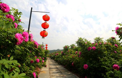 上九山景区