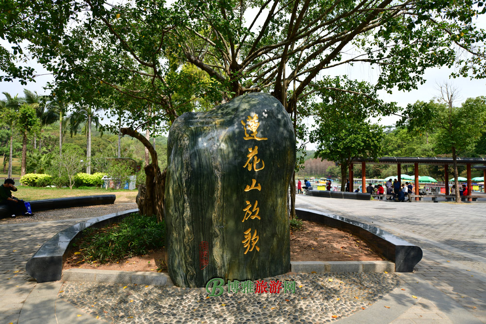 深圳莲花山公园图片