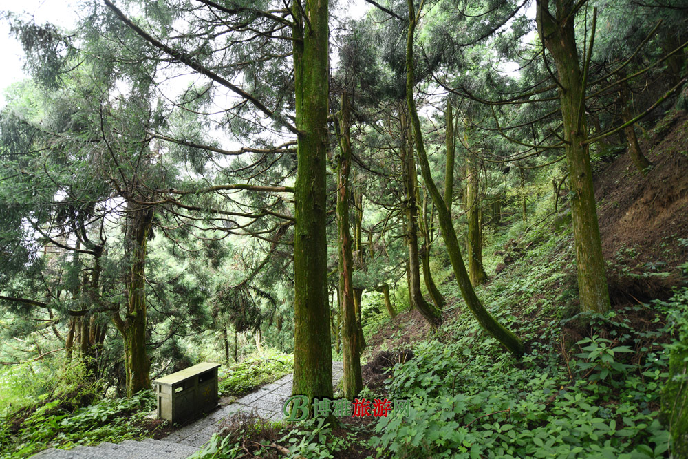 石墨山图片