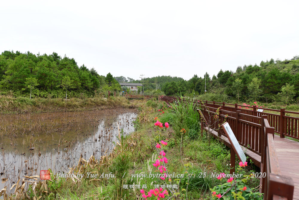 怀集燕都国家湿地公园图片