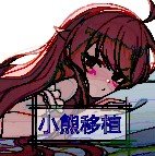 尋找夏日的寶物小熊移植