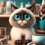 喵喵人生免廣告