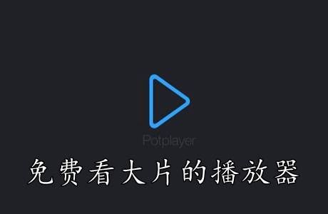 免费看大片的播放器