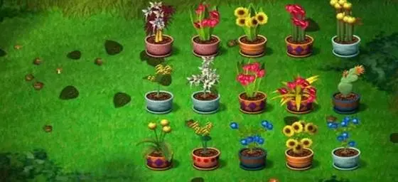 种花游戏有哪些