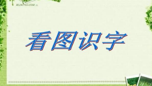 看图识字软件大全