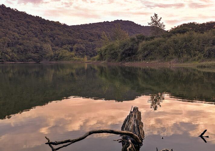 隨手拍軟件大全