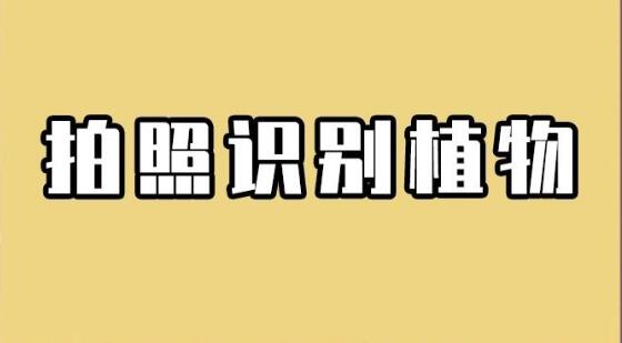 拍照識(shí)別植物軟件大全
