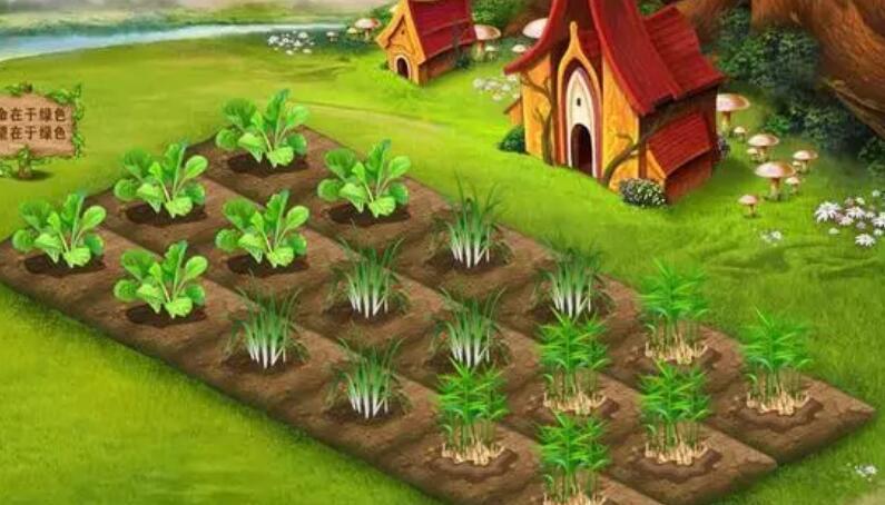 种菜赚钱的游戏大全