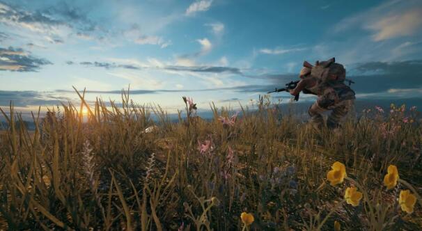 单人生存游戏大全