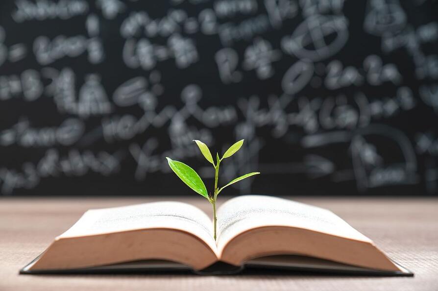 最好的網(wǎng)上學(xué)習(xí)軟件大全