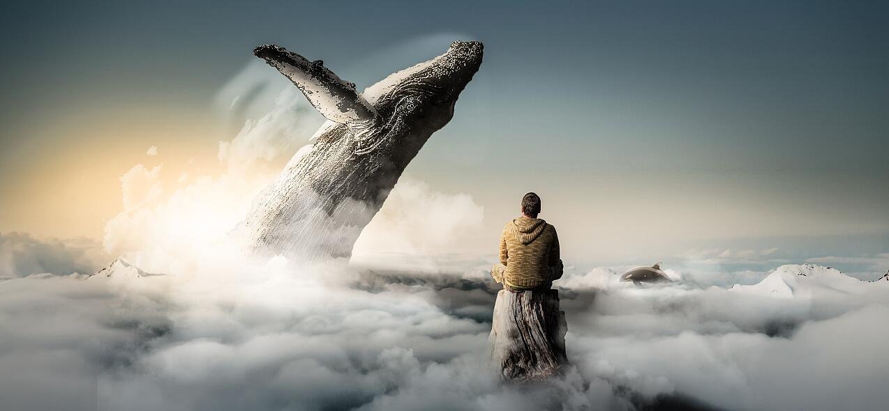 能把腿p瘦的软件大全