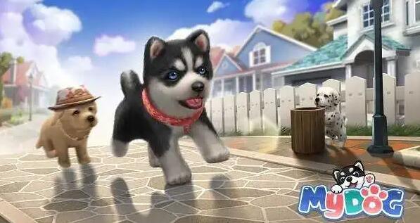 養(yǎng)狗的游戲大全