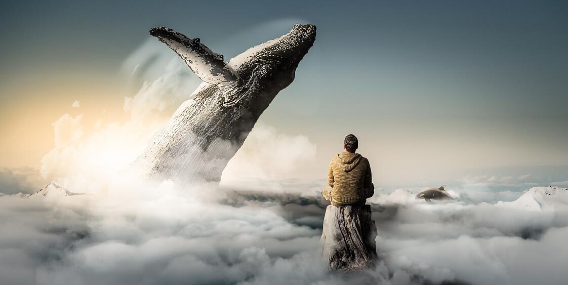 图片处理软件大全