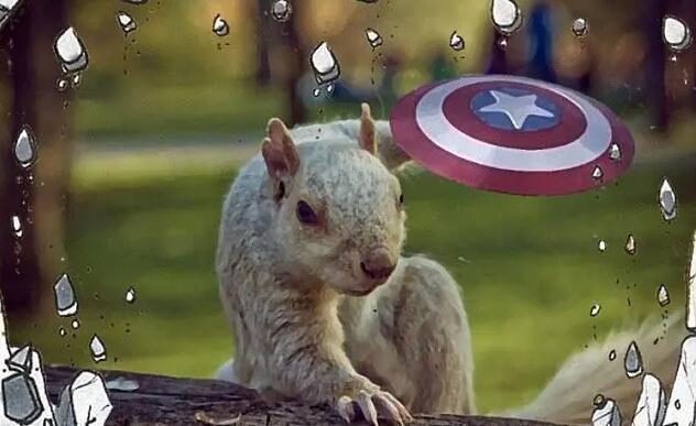 好用的p圖軟件大全