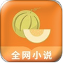 甜瓜小說