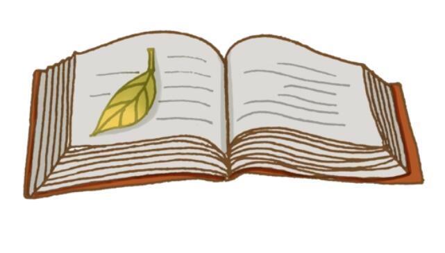 口碑最好阅读软件大全