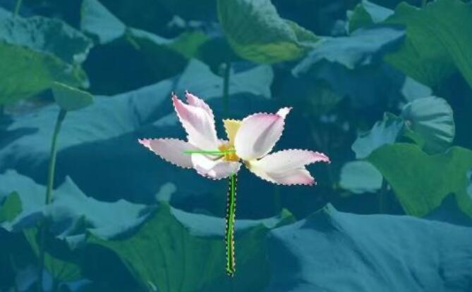 抠图类软件大全