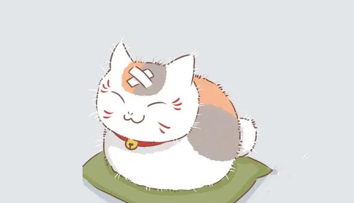 免費(fèi)追漫軟件大全