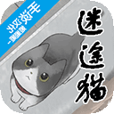迷途貓