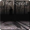 SlendrinaTheForest