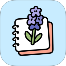 風(fēng)信子筆記