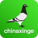 中國(guó)信鴿信息網(wǎng)