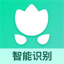 識(shí)別植物花草