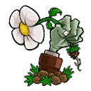 植物大戰(zhàn)僵尸高難拓展版