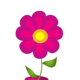 經(jīng)期跟蹤器精簡(jiǎn)版