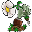 植物大戰(zhàn)僵尸轉(zhuǎn)基因版
