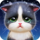 小貓愛(ài)消除