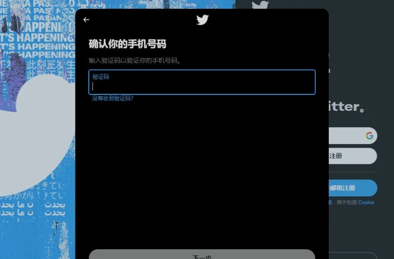 图片[8]-twitter怎么注册？最全面的教程-庆虎资源网
