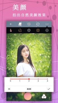 照片P图（4）