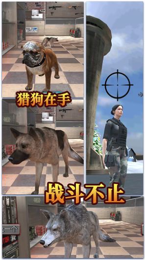 城市女俠英雄（0）