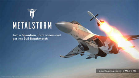 metalstorm（3）