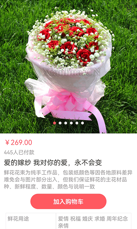 鮮花網(wǎng)（3）