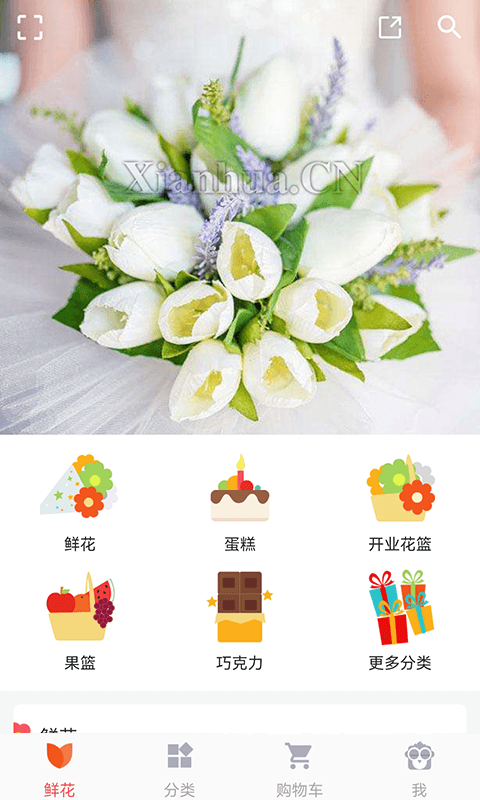 鮮花網(wǎng)（4）