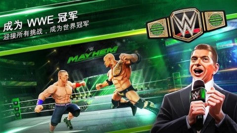 wwe美国职业摔跤（2）