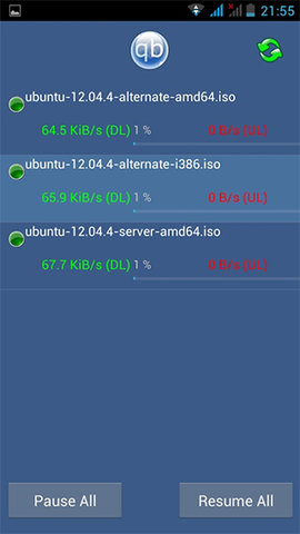 qbittorrent安卓版本（1）