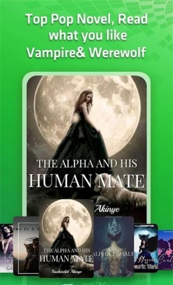 Novelah apk（1）