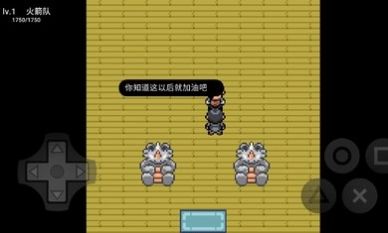 口袋妖怪污濁內(nèi)置菜單游戲（0）