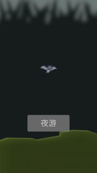 小蝙蝠夜游記游戲（1）
