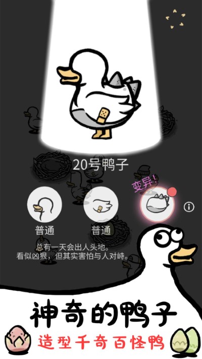 神奇的鴨子（0）