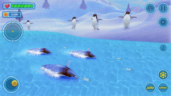企鹅模拟器中文版（1）