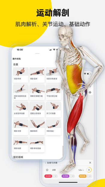 3DBody解剖（1）