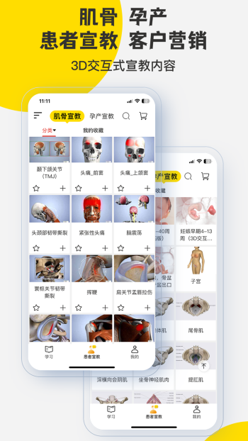 3DBody解剖（0）