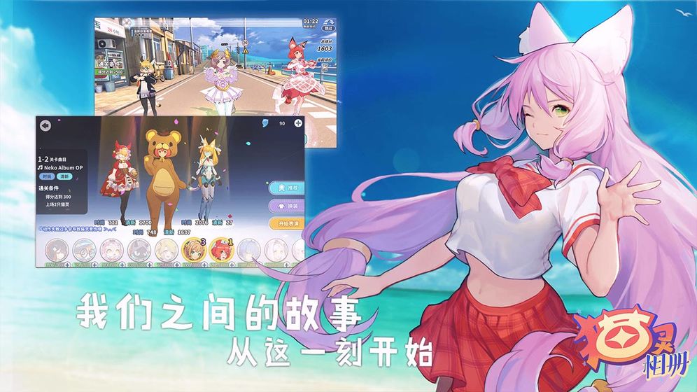 貓靈相冊(cè)（2）