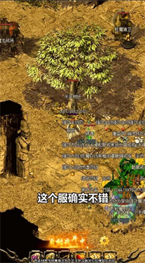 火龍風(fēng)云（2）