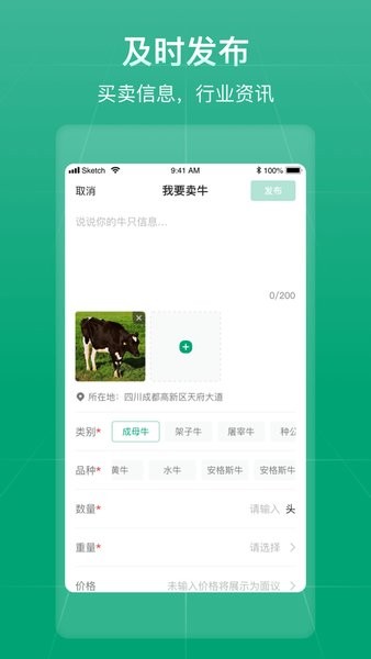大肥牛（2）